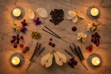 Halloween Parfum 2026 – Veilchen, Tuberose, Kaffee, Kardamom, Tonkabohne, Weihrauch, Birne, Wilderdbeere und Jasmin als Sinnbild für die mystische Magie und den nächtlichen Zauber der Halloween Kollektion seit 1997