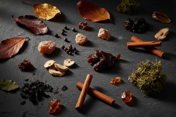 Herbst Parfüm Trends 2026 – Natürliche Rohstoffe wie Iris, Benzoe, Patchouli, Amber und Herbstblätter als Sinnbild für schwere Winterdüfte von Givenchy und Loewe