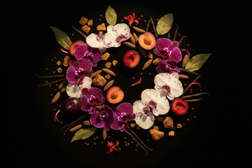 Jimmy Choo Parfum 2026 – Exotische Tigerorchidee, dunkle Pflaume, Tonkabohne, Patchouli und Vanille als Sinnbild für die glamouröse und verführerische Welt der Jimmy Choo Duftkollektion
