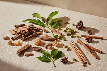 Oud Parfüm Herren 2026 – Natürliche Oud-Hölzer, Kardamom und botanische Zutaten als Duftkomposition von Loewe und Givenchy