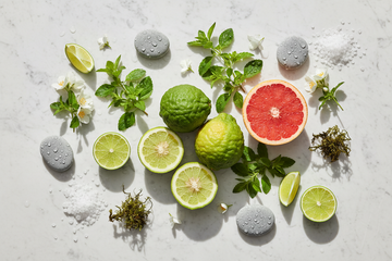 Sommerparfums 2026 – Frische Zitrusfrüchte, Verbene, Jasmin, Meeressalz und mineralische Kieselsteine als Sinnbild für aquatische Sommerdüfte wie Rochas Eau de Rochas