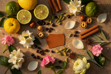 Trussardi Parfum 2026 – Yuzu, Jasmin, Bergamotte, Haselnuss, Zimt, Kaffee, Kardamom, Sternanis, Lotusblüte, Geranie, Patchouli und feines Leder als Sinnbild für das Mailänder Erbe und die 1911er Lederhandwerkskunst der Trussardi Kollektion