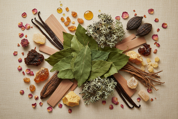 Langanhaltende Parfums: Duefte mit starker Haltbarkeit