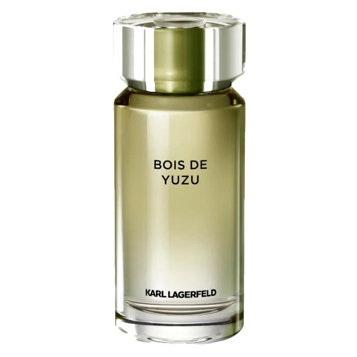 Karl Lagerfeld Classic Eau de Toilette 100 ml - KARL LAGERFELD