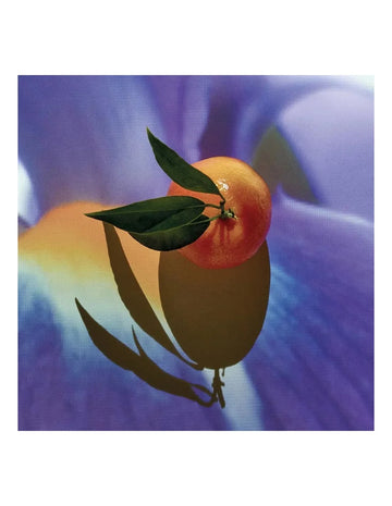 Loewe Solo Elixir Eau de Parfum Premium Duft Damenparfum 50 ml - LOEWE