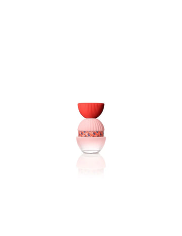 El Ganso Fun & Chic Eau de Parfum Damenparfum 100 ml - EL GANSO