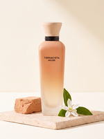 Adolfo Dominguez Terracota Musk Eau de Parfum Damenparfum 120 ml - AI Szene