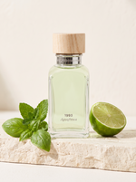 Adolfo Dominguez Agua Fresca Eau de Toilette Herrenparfum 200 ml - AI Szene