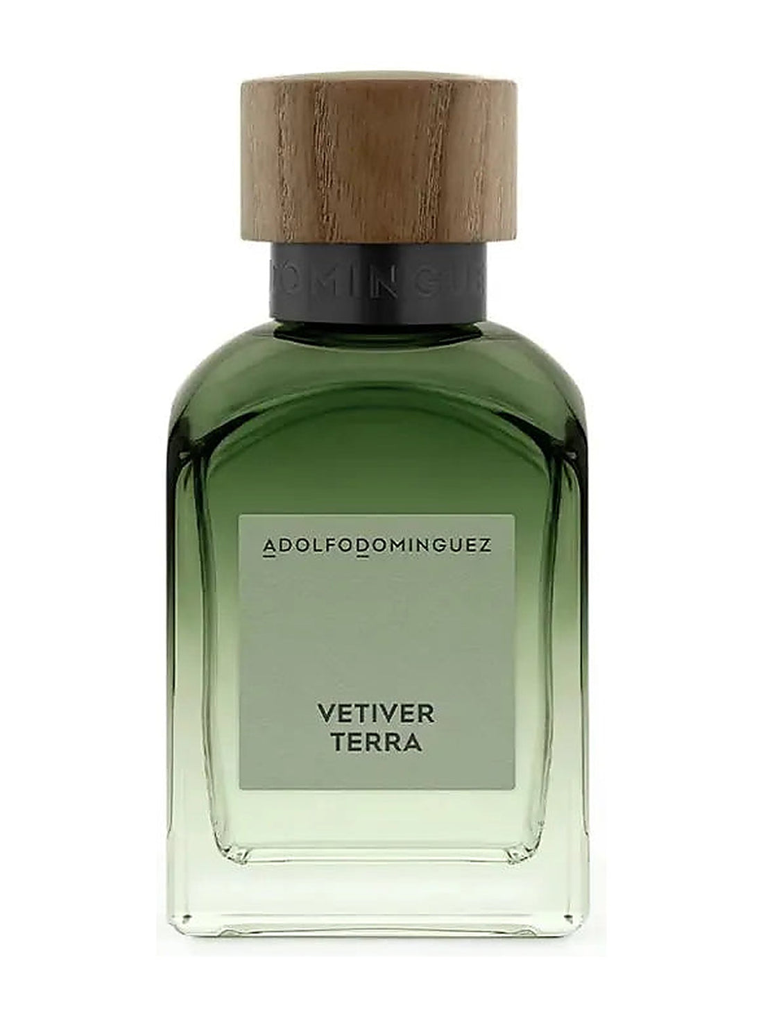 Adolfo Dominguez Vetiver Terra Eau de Parfum Herrenparfum 120 ml