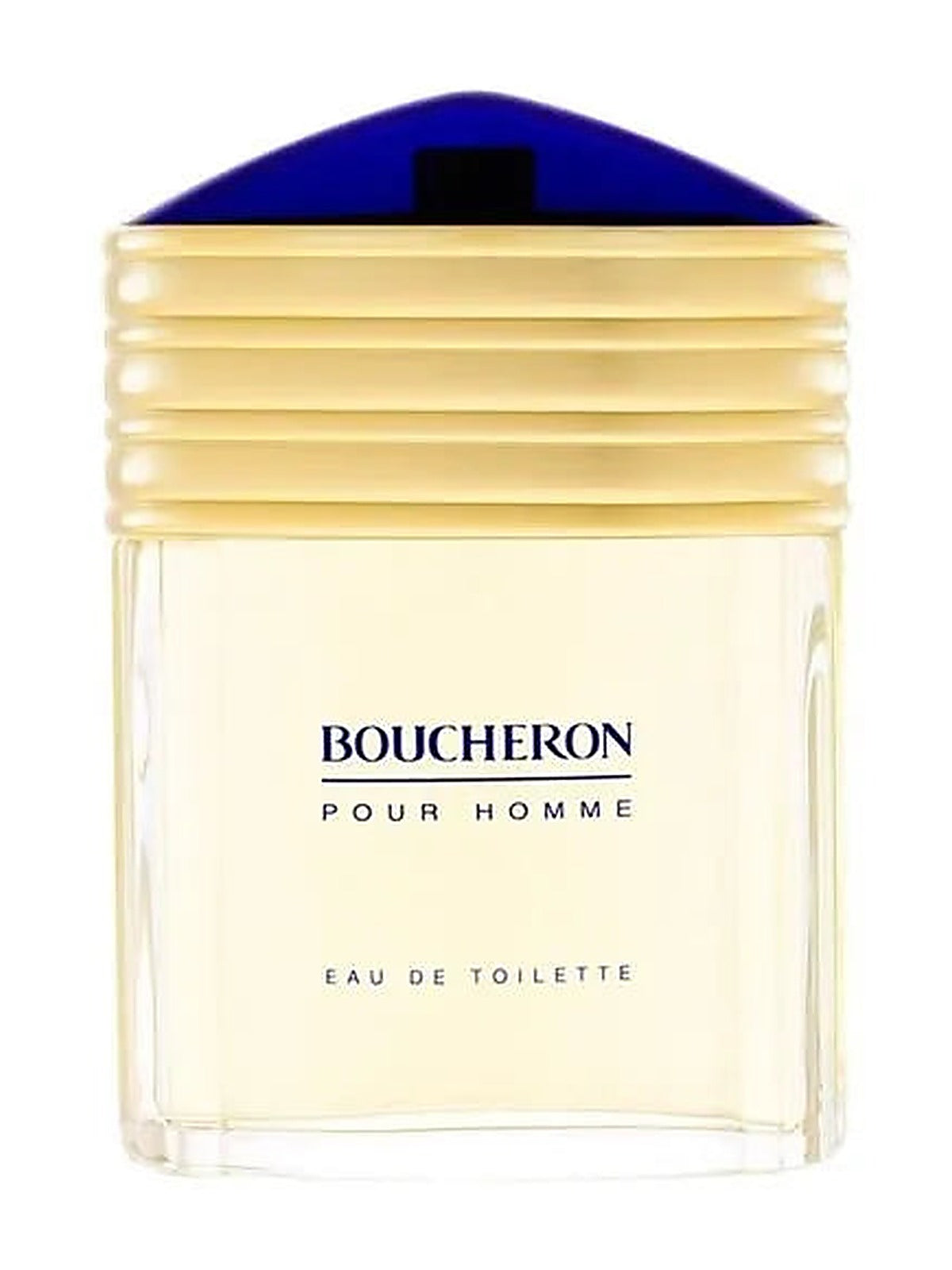 Boucheron Homme Eau de Toilette Herrenparfum 100 ml