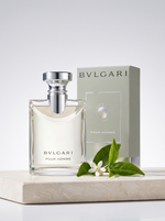 Bvlgari Pour Homme Eau de Toilette 100 ml - Flakon mit Verpackung auf hellem Kalkstein mit Teeblaettern
