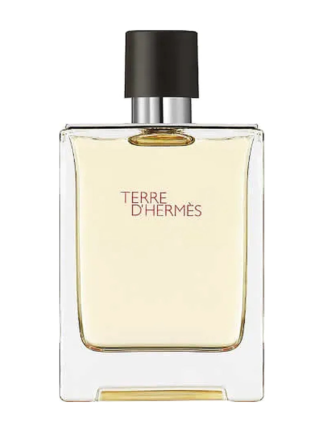 Hermes Terre D' Eau de Toilette Herrenparfum 100 ml