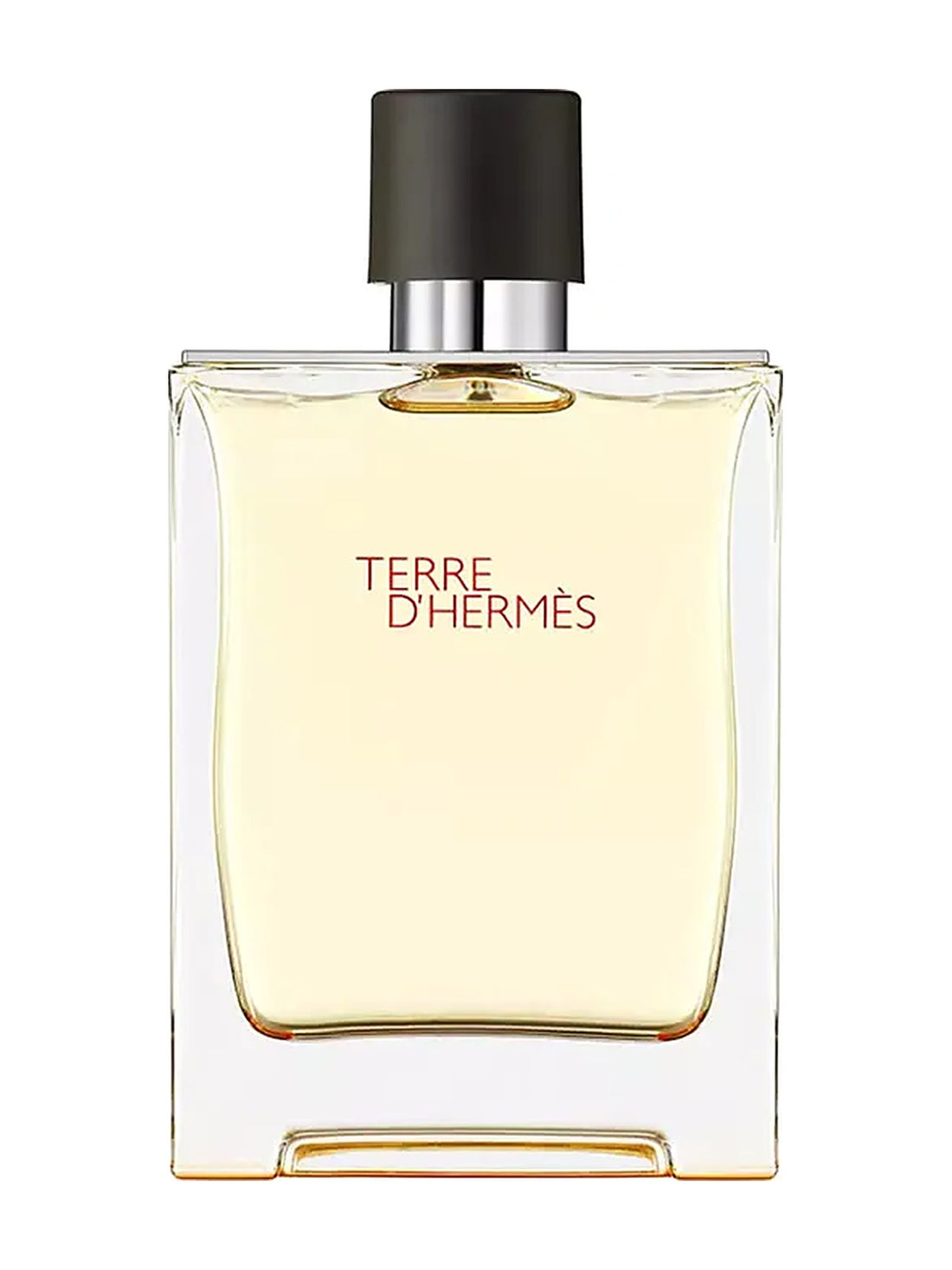 Terre D'Hermes Eau de Toilette Herrenparfum 200 ml