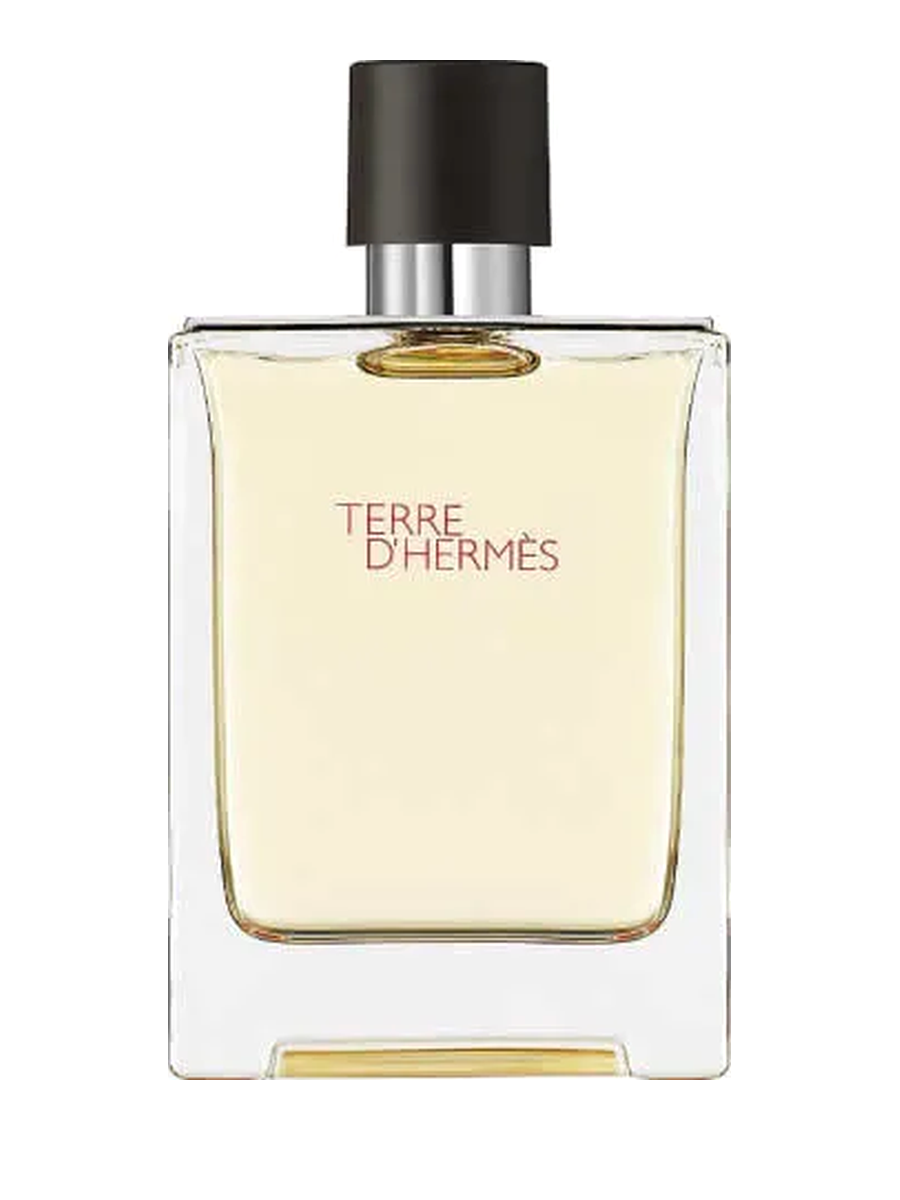 Hermès Hermes Terre d'Hermes Premium Duft Damenparfum 100 ml - HERMÈS