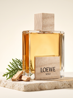 Loewe Solo Eau de Toilette 50 ml - Flakon mit Holzdeckel auf hellem Stein mit Zedernholz
