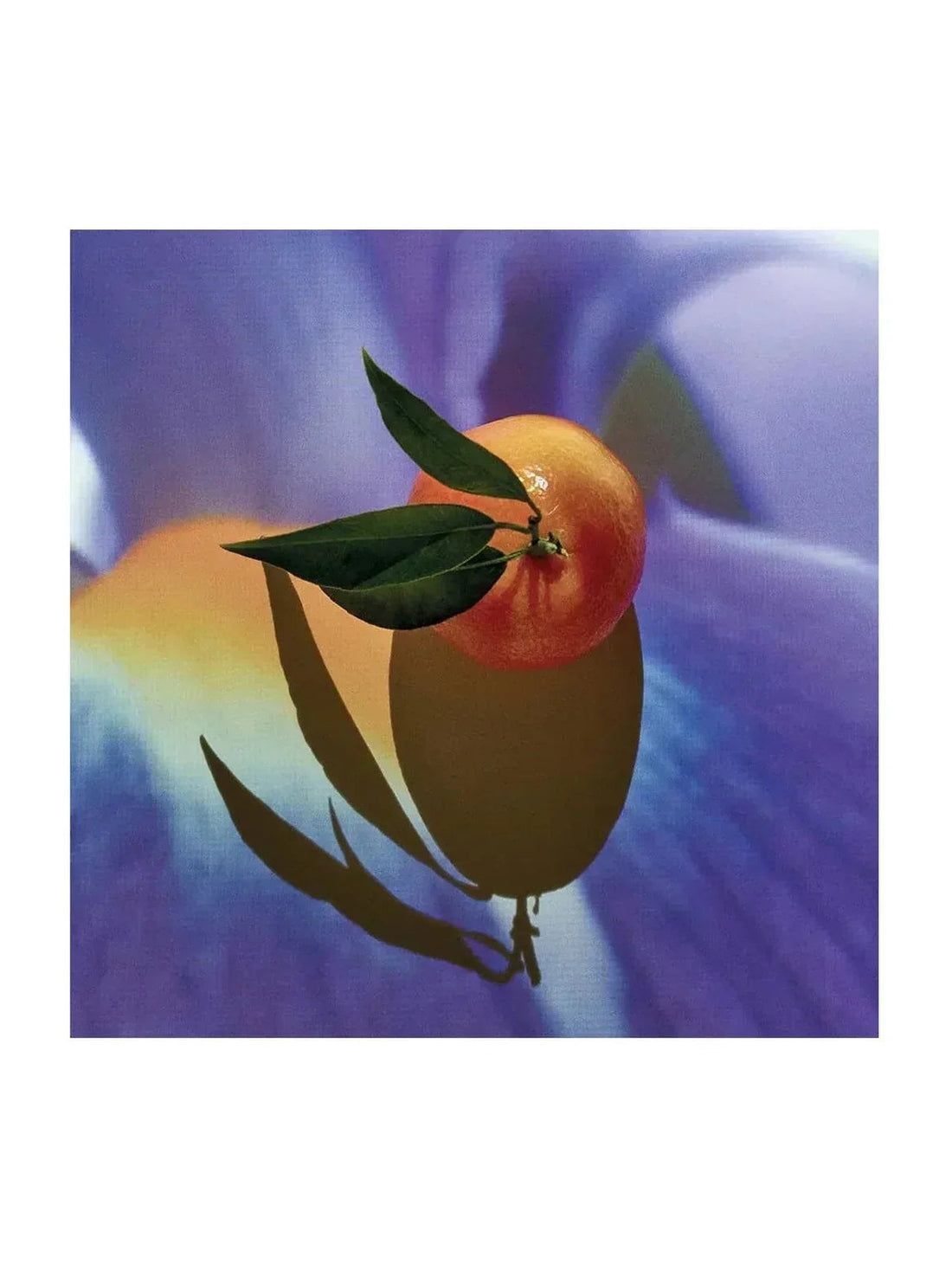 Loewe Solo Elixir 50 Vap M Eau de Parfum Herrenparfum 50 ml