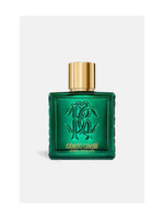 Roberto Cavalli Rc Uomo Verde Eau de Parfum Herrenparfum 100 ml