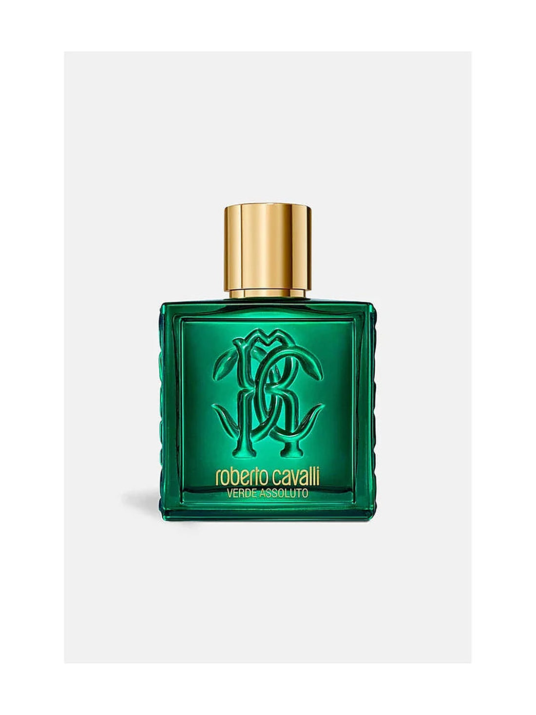 Roberto Cavalli Rc Uomo Verde Eau de Parfum Herrenparfum 100 ml